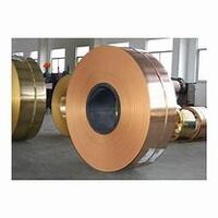 99.99% Pure Copper Strips T1 T2 C10100 12000 Tinned Beryllium Bronze Copper Strip 