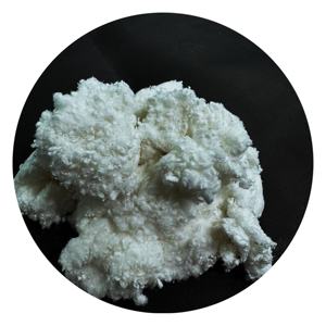 Ruyuan Chemical Hot ing Polyester Pp For Reinforced Concrete Monofilament Polypropylene Fiber 