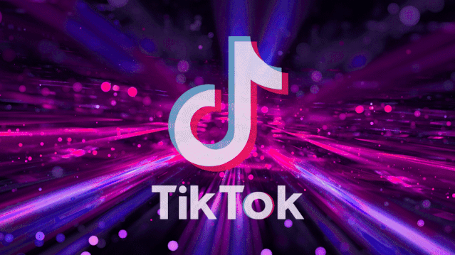 Fame Formula: The Secrets to Becoming TikTok Famous According to WikiHow 